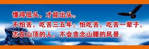 kaiyun官方网站:增压泵的输入功率和输出功率(水泵输入功率与输出功率)